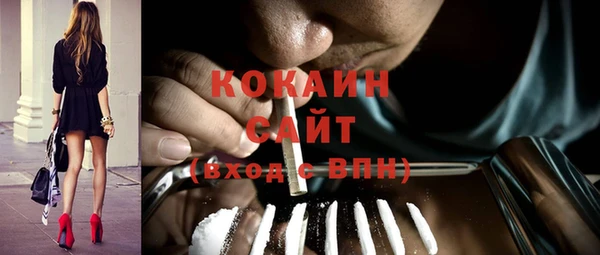 тгк Алексин