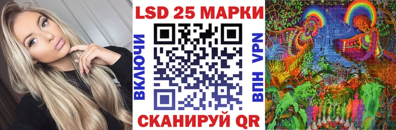 блэк спрут онион  купить наркотик  Бодайбо  Марки 25I-NBOMe 1500мкг 